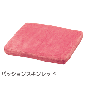 �V�[�g�N�b�V���� �p�b�V�����X�L�����b�h