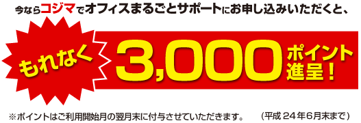 ����Ȃ�3,000�|�C���g�i��