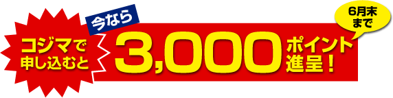 �R�W�}�Ő\�����ނƍ��Ȃ�3,000�|�C���g�i��I