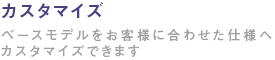�J�X�^�}�C�Y