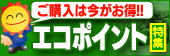 �G�R�|�C���g