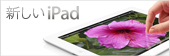 �u�V����iPad�v�D�]�������I