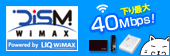 WiMAX