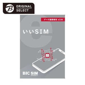 IIJ BIC SIM 「いいSIM」eSIM スタートパック IMB290