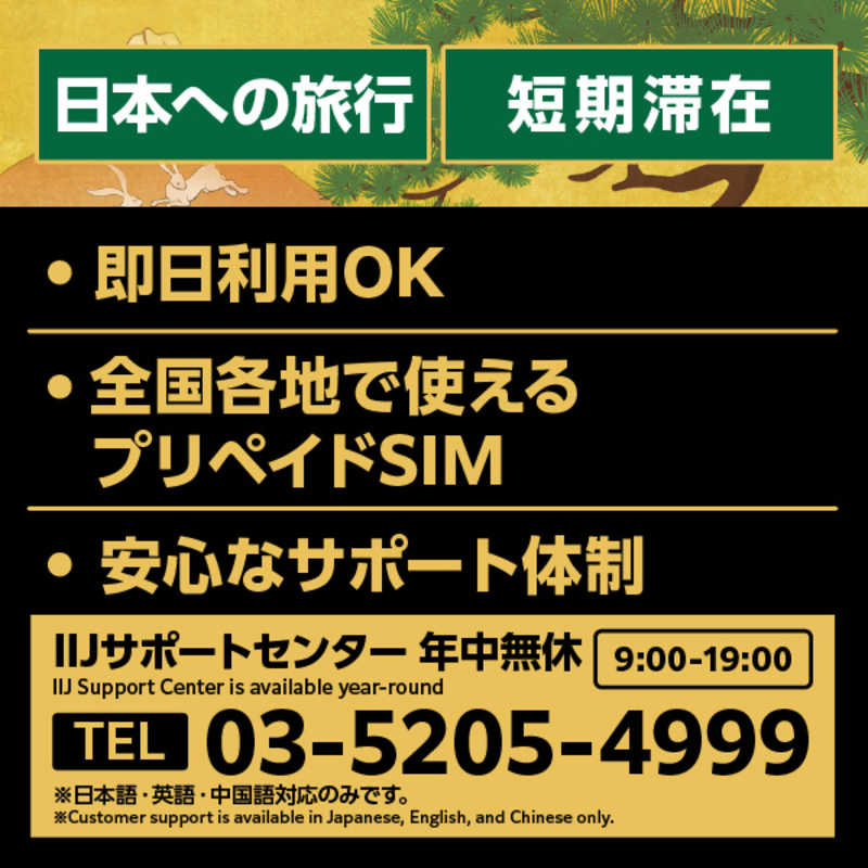 IIJ IIJ Japan Travel SIM 1.5GB (Type I) for BIC SIM IMB354 IMB354