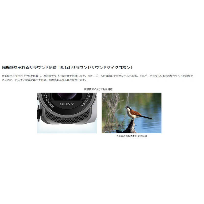ソニー　SONY ソニー　SONY デジタルビデオカメラ HDR-CX680 HDR-CX680