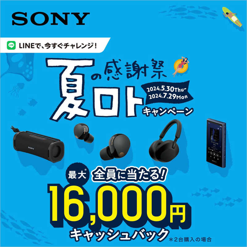ソニー　SONY ソニー　SONY ワイヤレスステレオヘッドセット Float Run（フロートラン） ブラック［リモコン・マイク対応］ WI-OE610BQ WI-OE610BQ