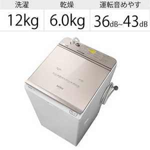 日立　HITACHI 縦型洗濯乾燥機 ビートウォッシュ 洗濯12.0kg 乾燥6.0kg ヒーター乾燥(水冷・除湿タイプ)  BW-DX120G-N シャンパン