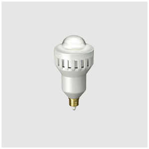エコリカ LED電球 エコリカLeD [E11 /白色] ECL-HPLE1160WH