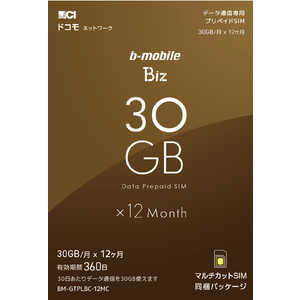 日本通信 マルチカットSIM ドコモ回線｢BMGTPLBC12MCb-mobile Biz SIMパッケージ (DC/マルチ)｣ BM-GTPLBC-12MC