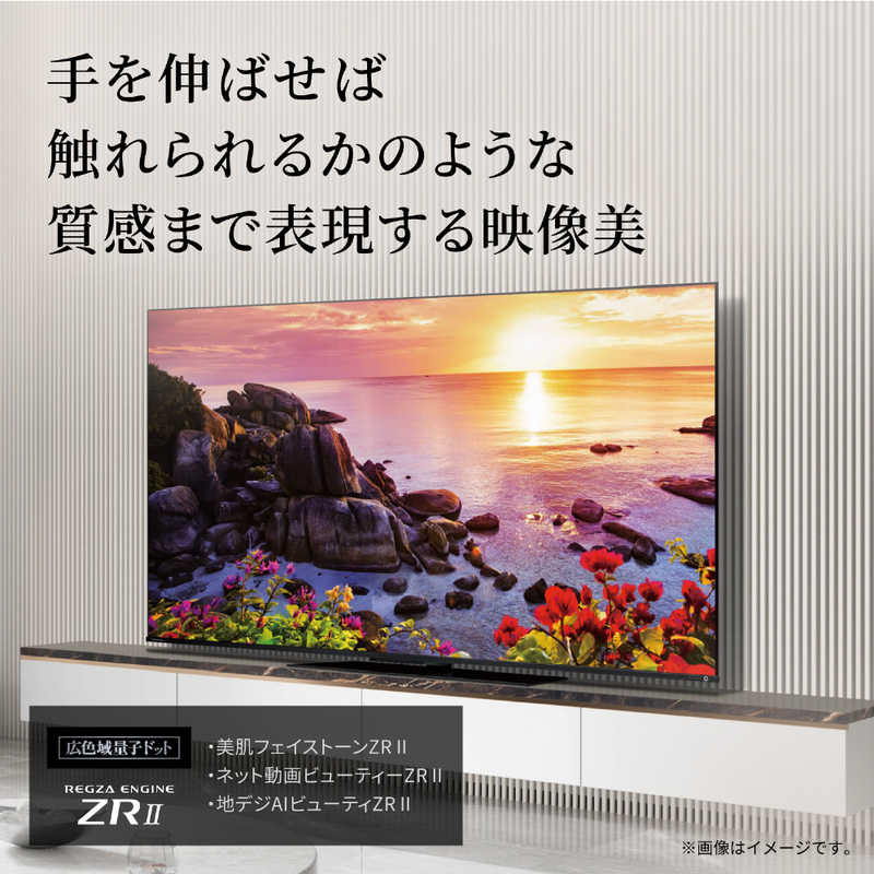 TVS REGZA TVS REGZA 液晶テレビ 65V型 4Kチューナー内蔵 65Z770L 65Z770L