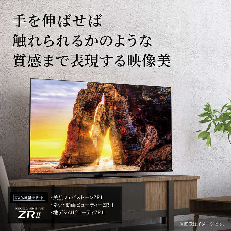 TVS REGZA TVS REGZA 液晶テレビ  43V型 4Kチューナー内蔵 43Z670L 43Z670L