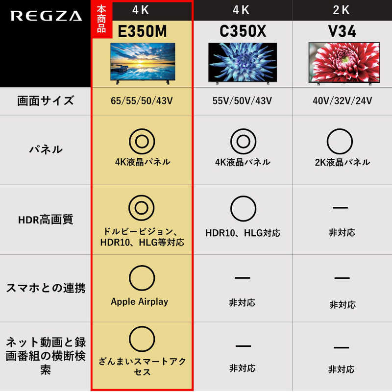 TVS REGZA TVS REGZA 液晶テレビ REGZA(レグザ) 65V型［4K対応 /BS・CS 4Kチューナー内蔵 /YouTube対応］ 65E350M 65E350M