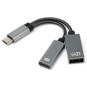 ルートアール USB変換ホストアダプタ [USB-C オス→メス USB-A /USB-Cメス給電 /USB Power Delivery対応 /60W] グレー RUA-OTGTPU1