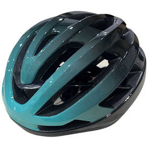 LEAD 自転車用ヘルメット type-N(Lサイズ/ライトグリーン＆ブラック) HO-99LGRBKL LG＆GR HO99LGRBKL