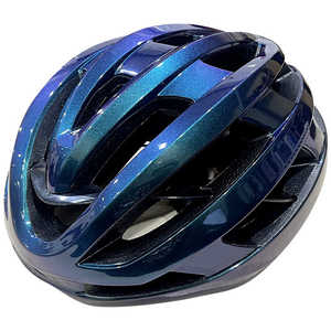 LEAD 自転車用ヘルメット type-N(Lサイズ/ブルー) HO-99L BL HO99BLL
