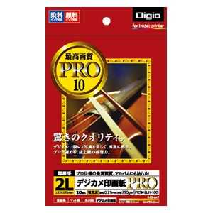 ナカバヤシ Digio デジカメ印画紙Pro(2L･10枚) PRSK2LH10G