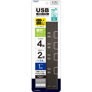 トップランド USB付き ブラウン ［1.0m /4個口 /スイッチ付き(個別) /2ポート］ STPC100-BR