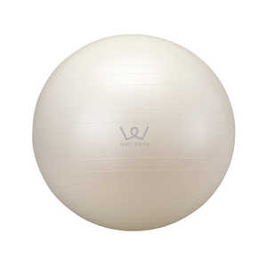 アルインコ エクササイズボール(65cm/ホワイト) WBN065