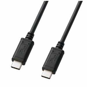 サンワサプライ 2.0m[USB-C ⇔ USB-C]2.0ケーブル 充電･転送 USB PD対応 5A KU-CCP520 ブラック