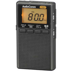 オーム電機 ポータブルラジオ ワイドFM対応 ブラック RAD-P209S-K