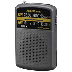 オーム電機 ポータブルラジオ ワイドFM対応 グレー RAD-P135N-H