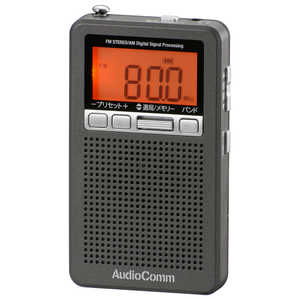 オーム電機 ポータブルラジオ ワイドFM対応 メタリックグレー RAD-P360N-H