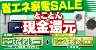 �ȃG�l�ƓdSALE