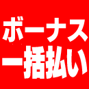 ボーナス一括払い