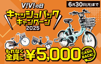 Panasonic ViViの日 キャッシュバックキャンペーン