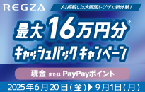 TVS REGZA　最大16万円分キャッシュバックキャンペーン