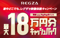 TVSREGZA 家中どこでも、レグザで映像体験キャンペーン
