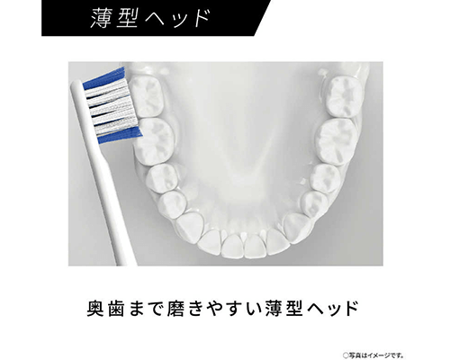 ヘッドサイズ：口の大きさ・奥歯まで届くか