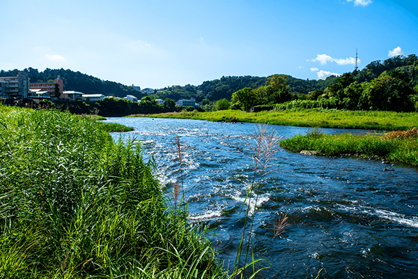 風景撮影のコツ