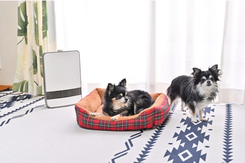 安全機能をチェック