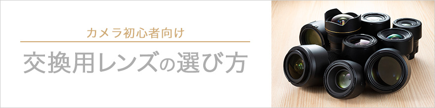 交換レンズの選び方