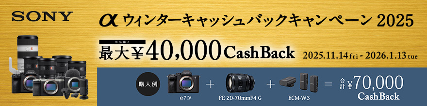 ソニー αウィンターキャッシュバックキャンペーン2025