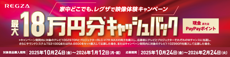 REGZAキャンペーン