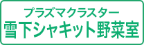 プラズマクラスター雪下シャキット野菜室