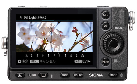 シグマ ミラーレス一眼カメラ fp ボディ の通販 | カテゴリ