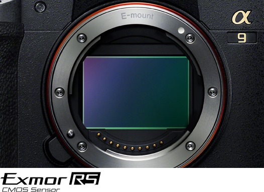 ソニー SONY ミラーレス一眼カメラ α9II ボディ ILCE-9M2 の通販