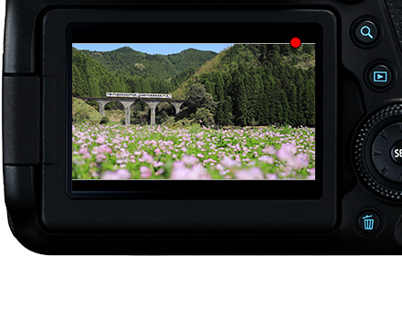 キヤノン CANON 一眼レフカメラ EOS 6D Mark II ボディ の通販 