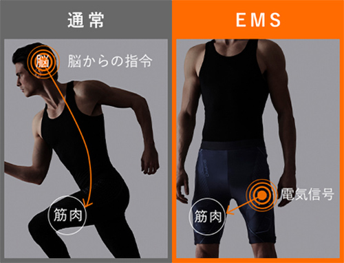 MTG SIXPAD Powersuit Lite Abs S (シックスパッド パワースーツ