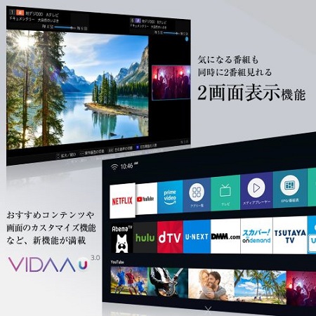 ハイセンス 液晶テレビ [ 55V型 / 4Kチューナー内蔵 ] (ビックカメラ