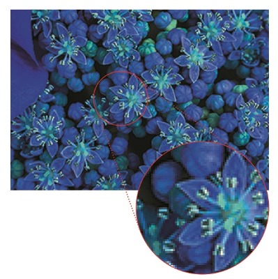 アイワ AIWA 液晶テレビ [ 43V型 / 4K対応 ]【ビックカメラグループ