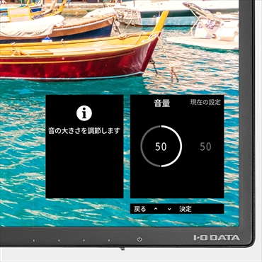 IODATA LCD-DF321XDB-A 31.5型 フルHDディスプレイ LCD-DF321XDB | 広視野角ADSパネル採用 DisplayPort搭載31.5型