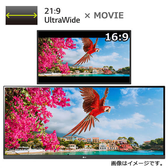 LG PCモニター UltraWide [29型 /UltraWide FHD(2560×1080） /ワイド