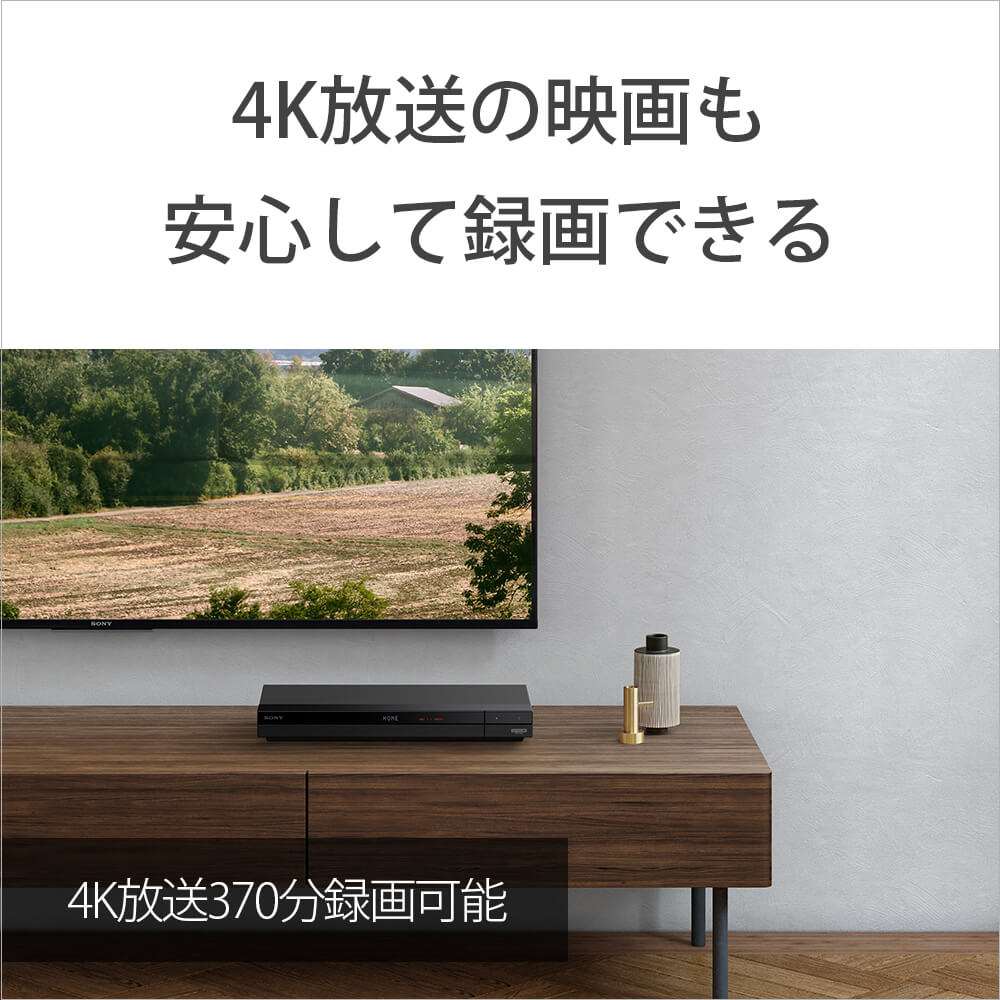 ソニー SONY 録画用BDRE XL ［20枚 /100GB /インクジェットプリンター