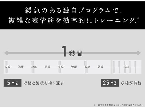 パナソニック Panasonic 【アウトレット】リフトケア美顔器