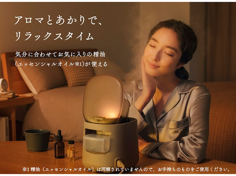 パナソニック Panasonic スチーマー ナノケア グレージュ EH-SA70-H の